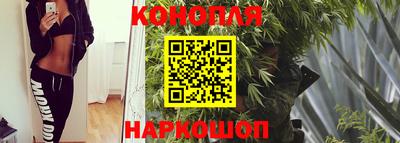 молекула духа Коммунар